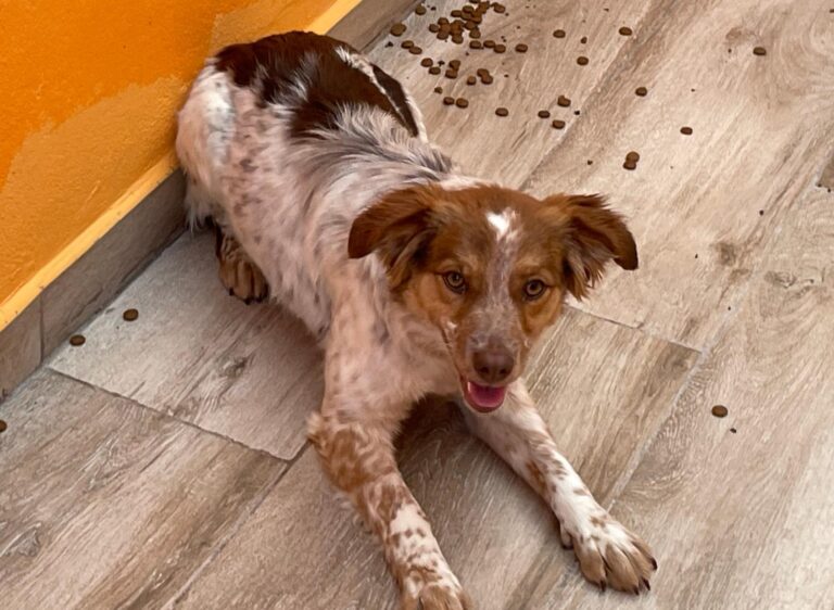 multimedia-foto87701-579-1