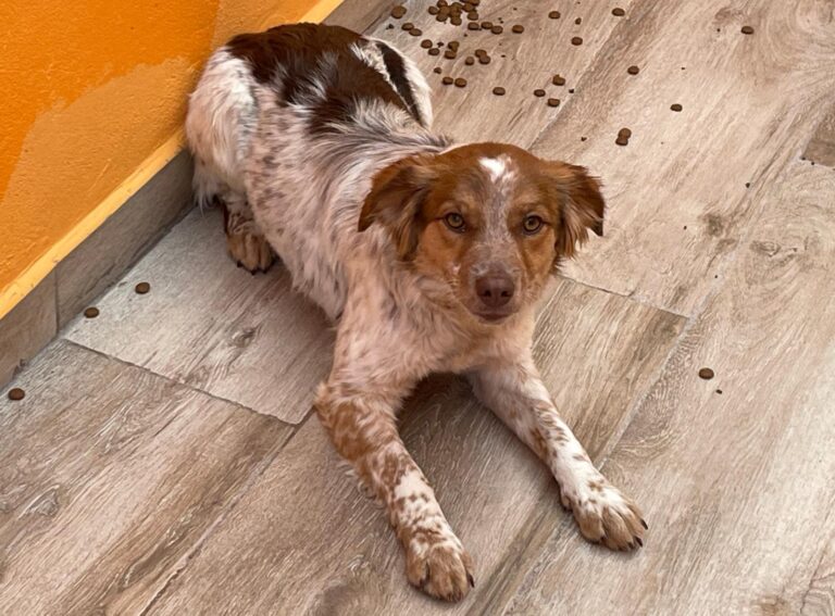 multimedia-foto87702-580-1