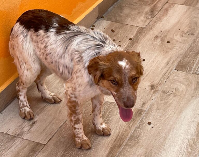 multimedia-foto87703-580-1