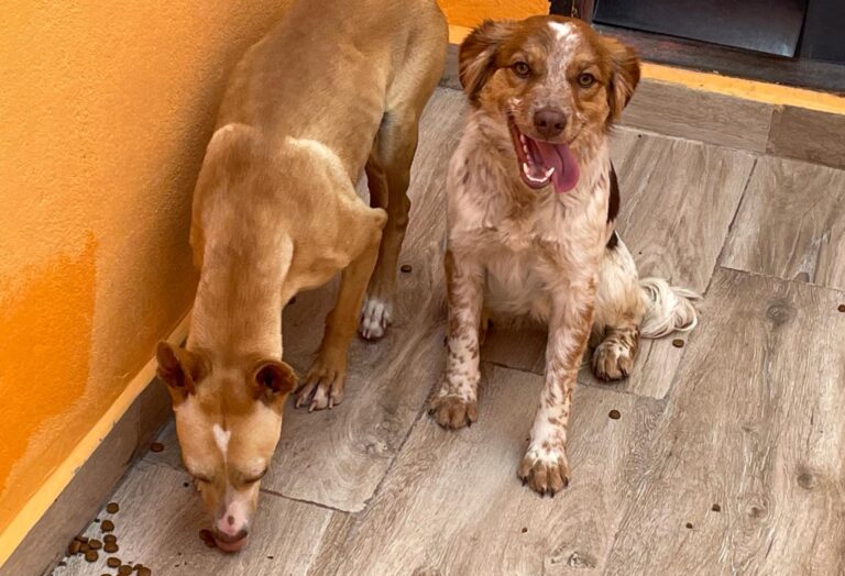 multimedia-foto87704-580-1