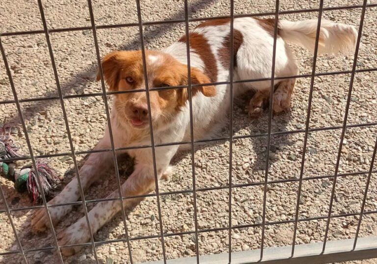 multimedia-foto87705-580-1