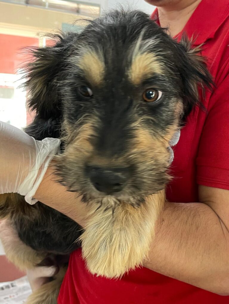 multimedia-foto87723-343-1