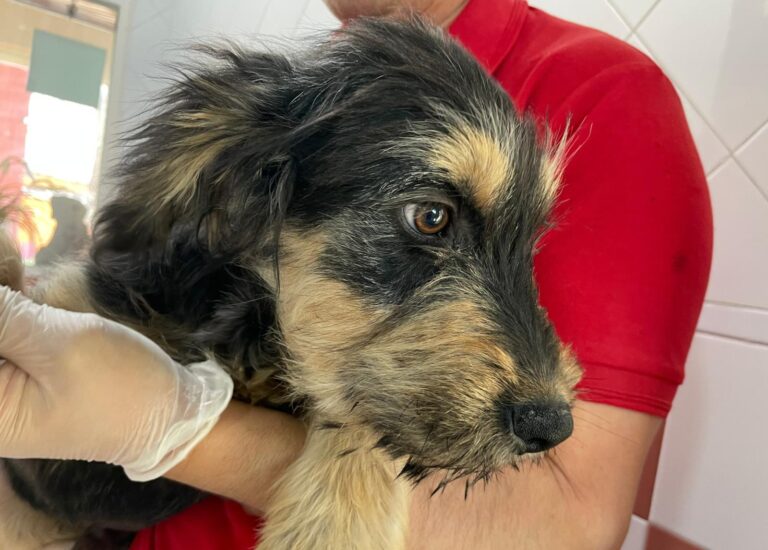 multimedia-foto87724-343-1