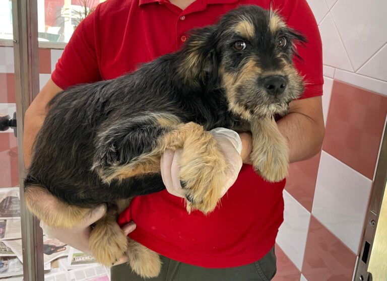 multimedia-foto87725-343-1