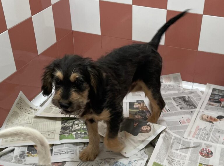 multimedia-foto87727-344-1