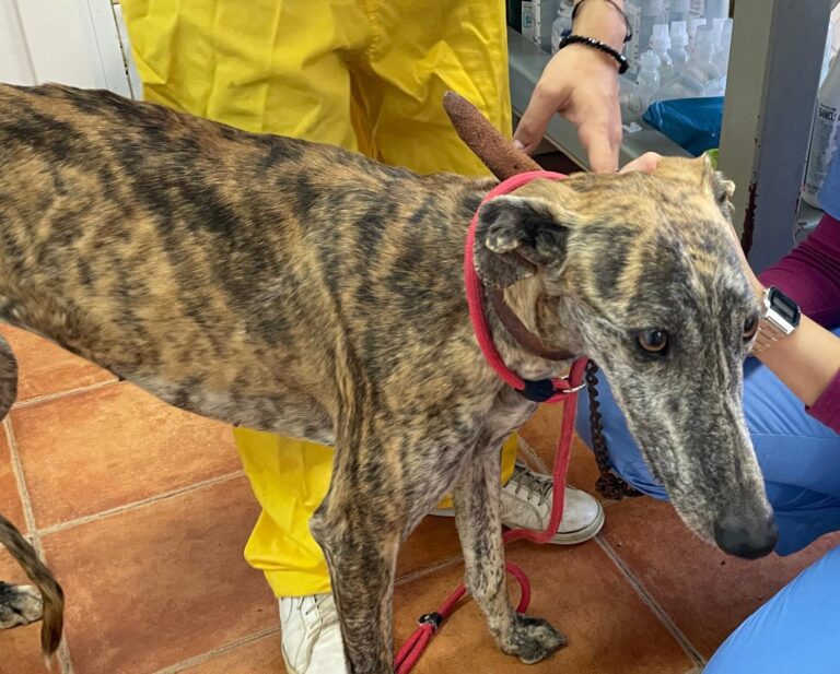 multimedia-foto87733-632-1