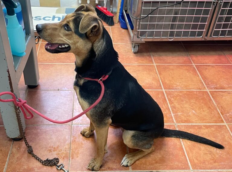 multimedia-foto87739-677-1