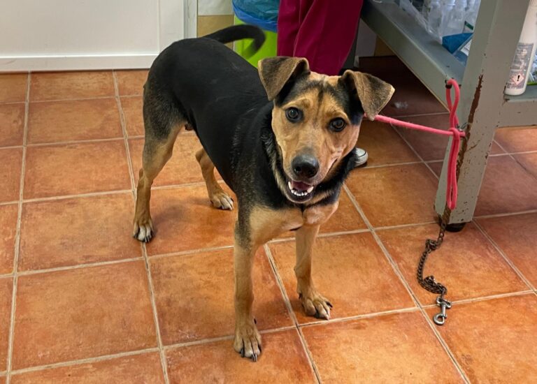 multimedia-foto87740-678-1