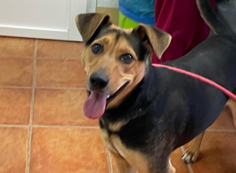 multimedia-foto87741-678-1