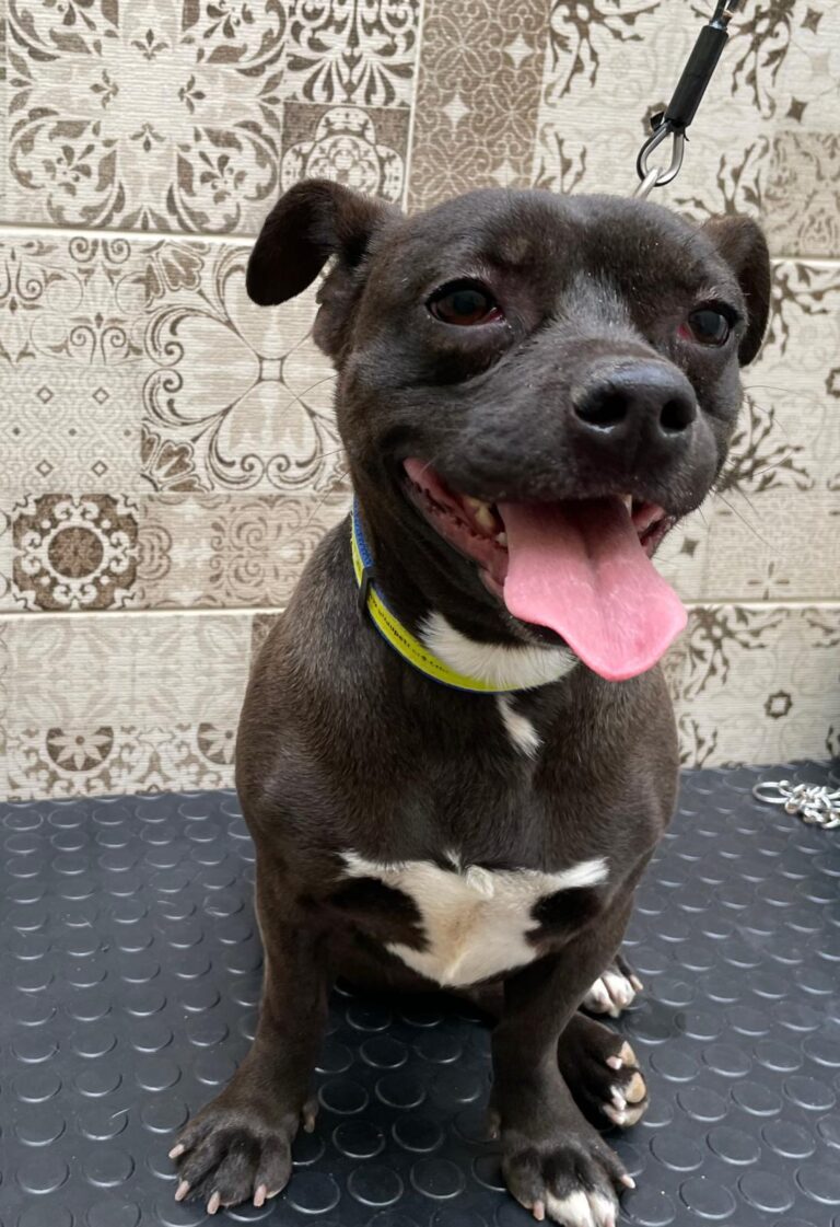 multimedia-foto87743-611-1