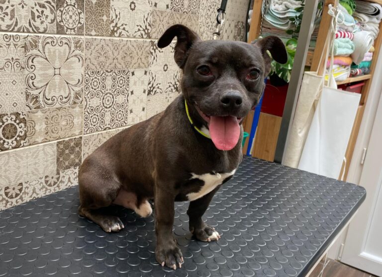 multimedia-foto87744-611-1