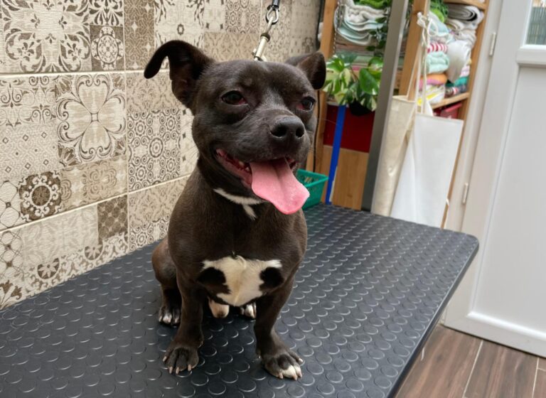 multimedia-foto87745-611-1