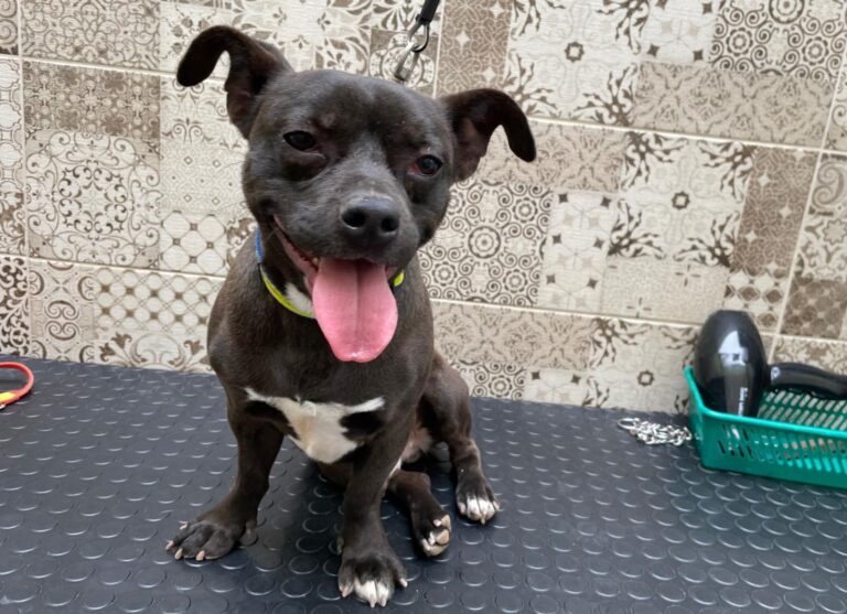 multimedia-foto87746-612-1