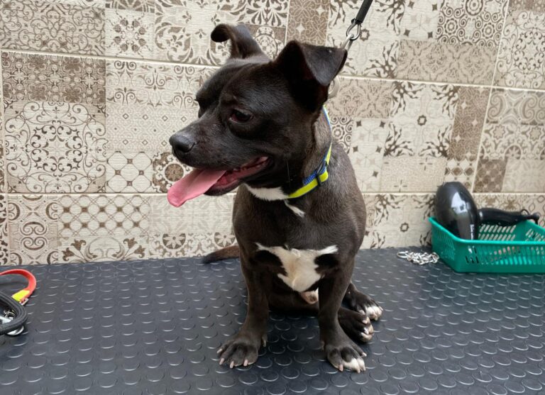 multimedia-foto87747-612-1