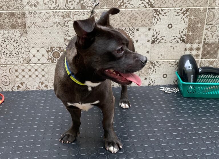 multimedia-foto87748-612-1