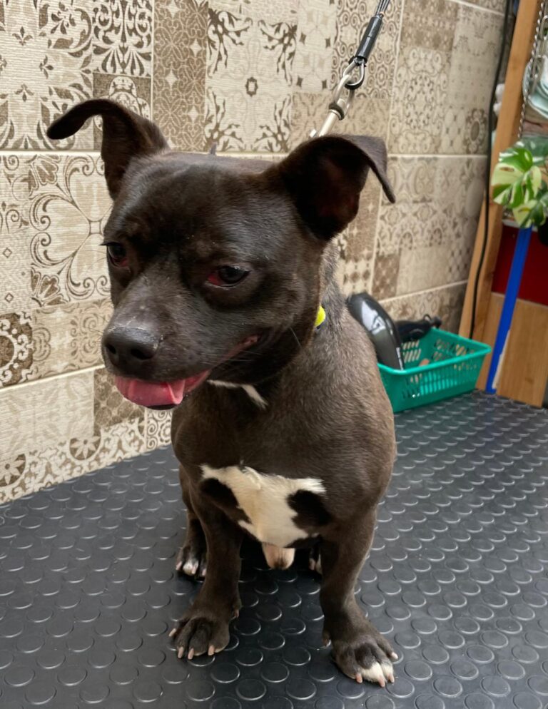 multimedia-foto87749-612-1