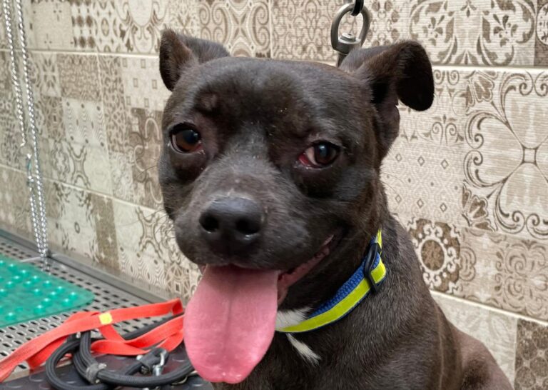 multimedia-foto87750-613-1