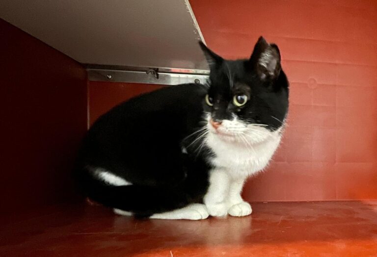 multimedia-foto87764-19-1