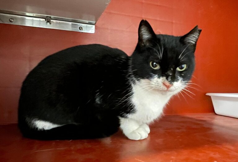 multimedia-foto87766-19-1