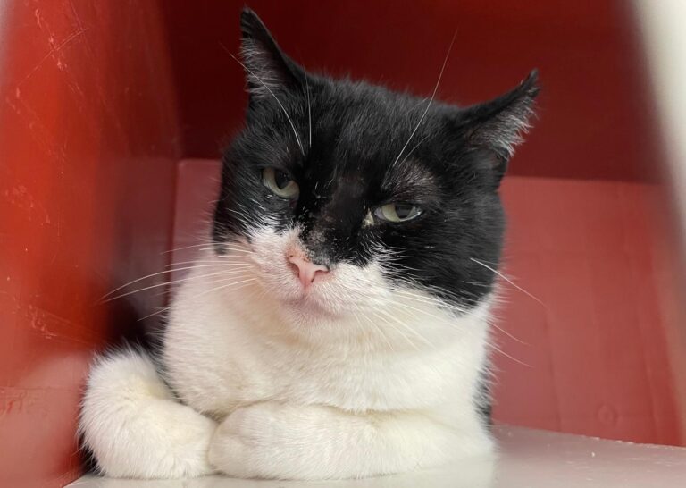 multimedia-foto87768-20-1