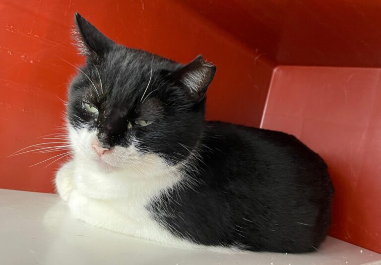 multimedia-foto87769-20-1