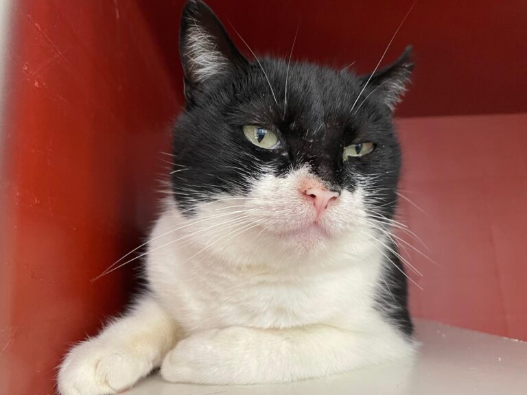 multimedia-foto87770-20-1