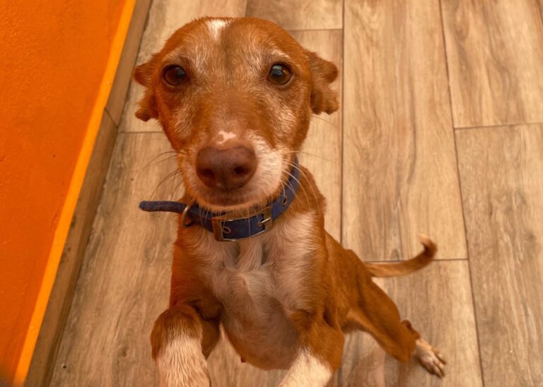 multimedia-foto87772-889-1