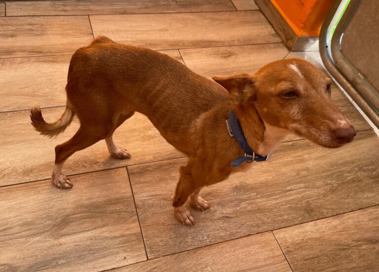 multimedia-foto87773-890-1