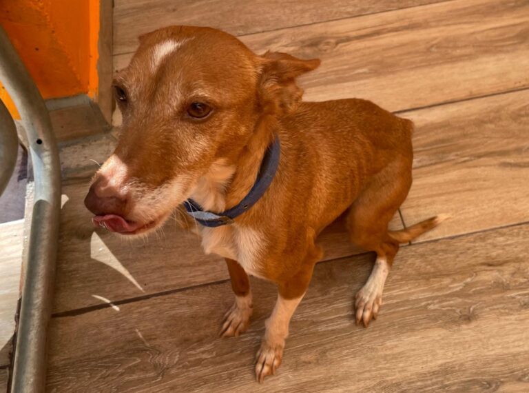 multimedia-foto87777-890-1