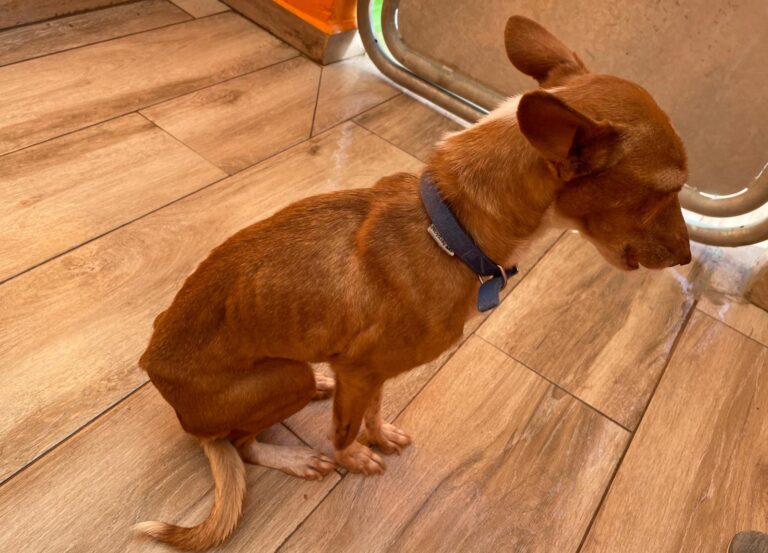 multimedia-foto87778-891-1