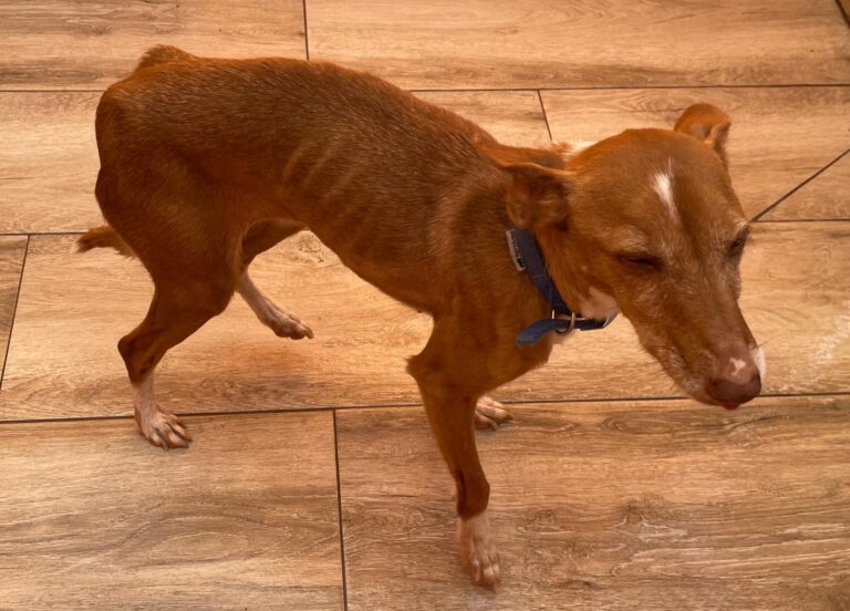 multimedia-foto87779-891-1