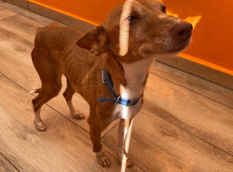 multimedia-foto87780-891-1