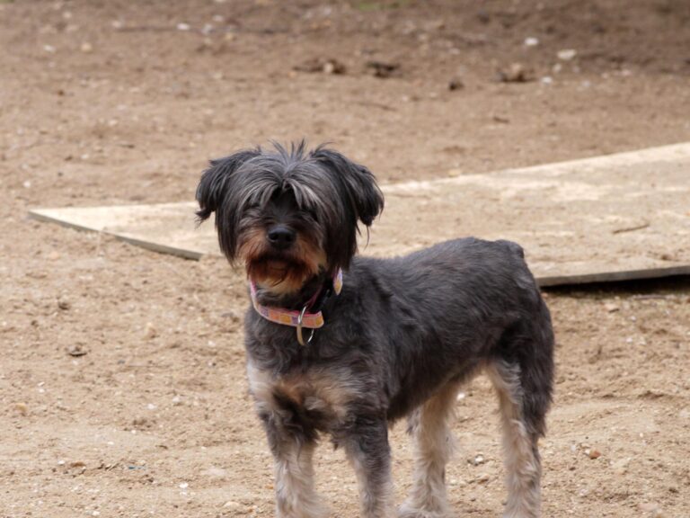 multimedia-foto87782-755-1