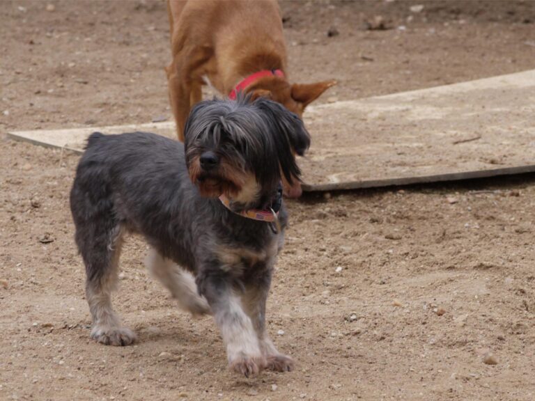 multimedia-foto87783-755-1