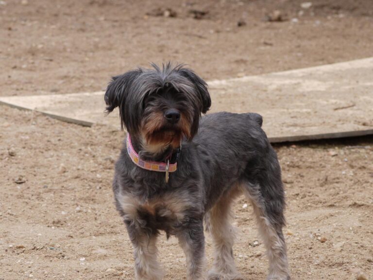 multimedia-foto87784-755-1