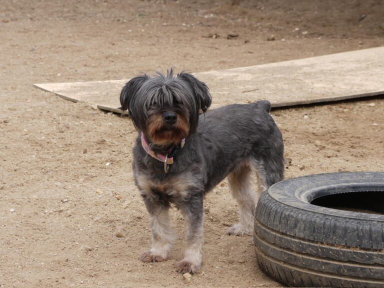 multimedia-foto87785-755-1