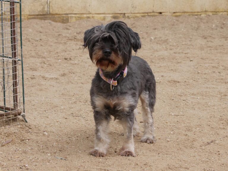 multimedia-foto87786-756-1