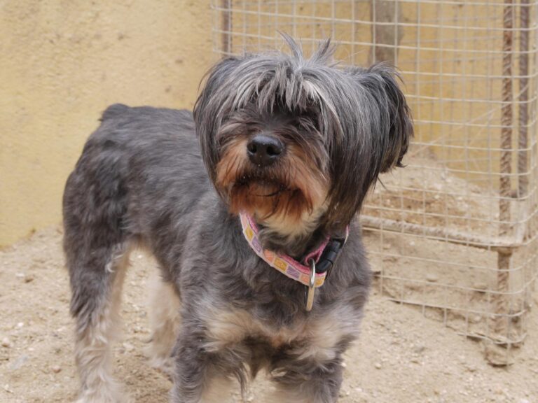 multimedia-foto87787-756-1