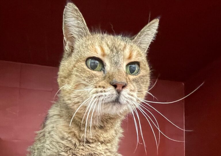 multimedia-foto87797-422-1