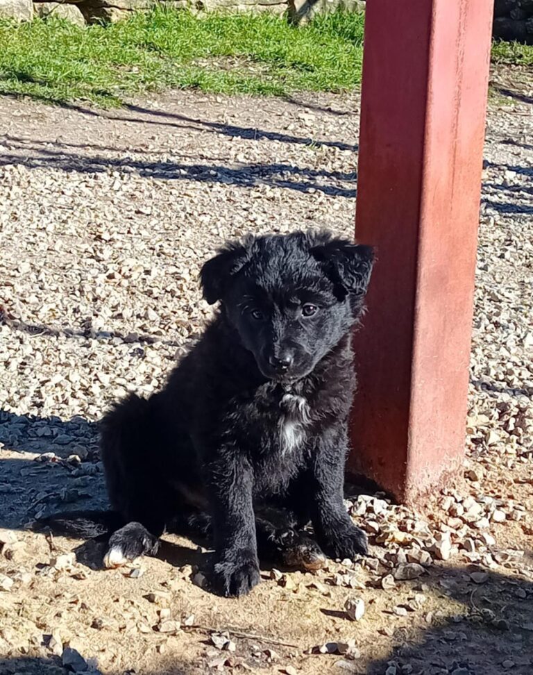 multimedia-foto87822-981-1