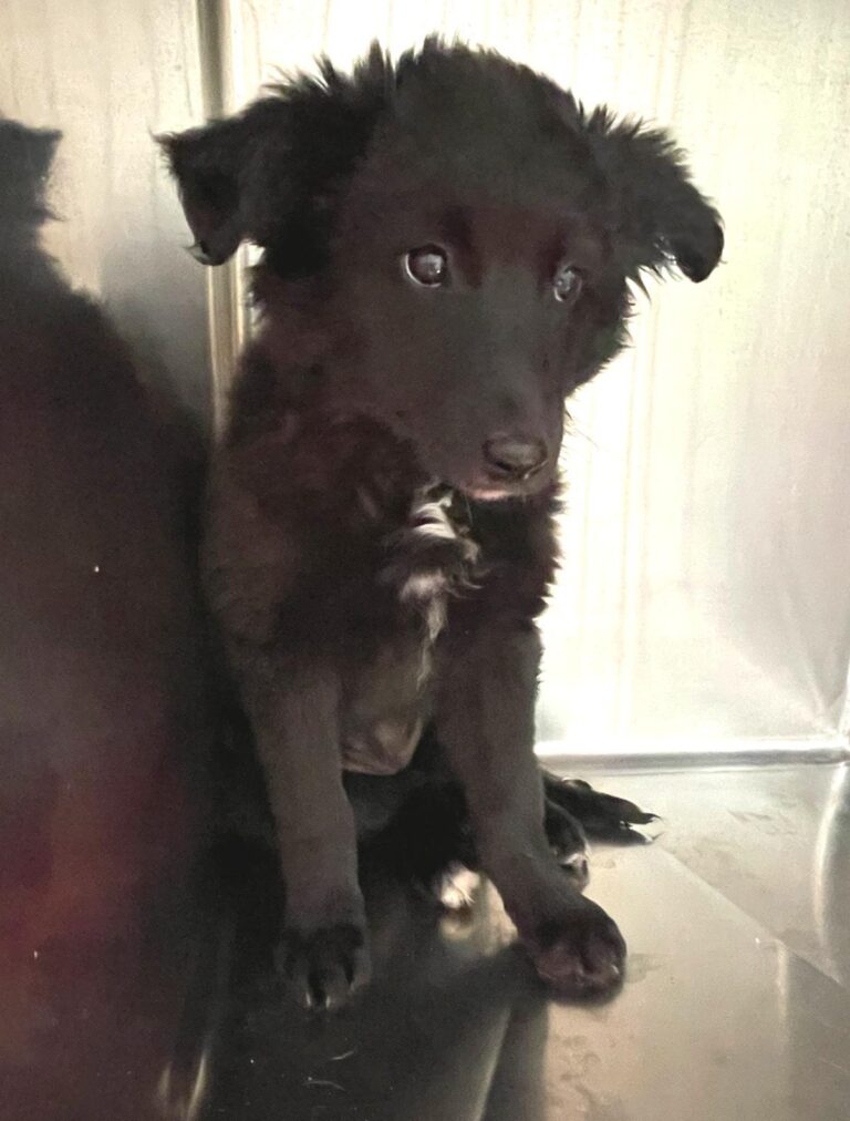 multimedia-foto87825-982-1