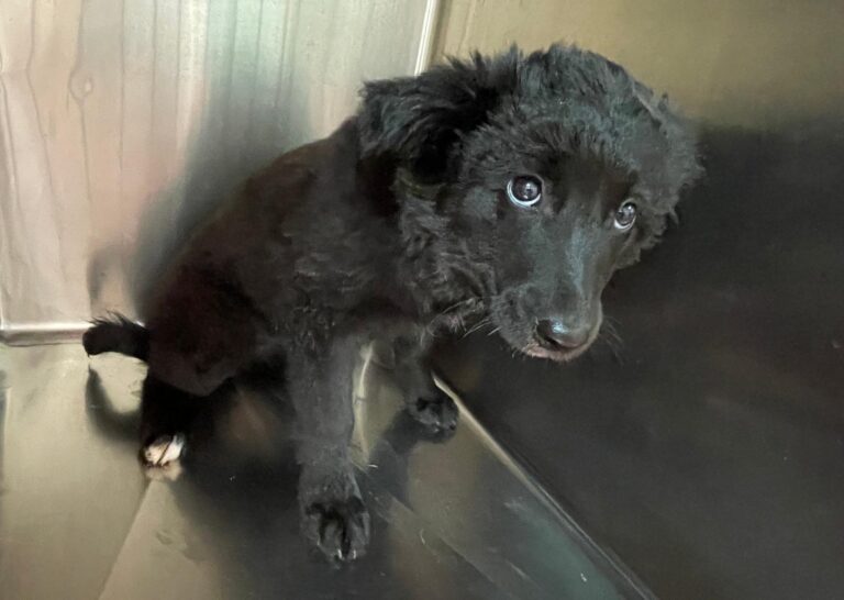 multimedia-foto87826-982-1