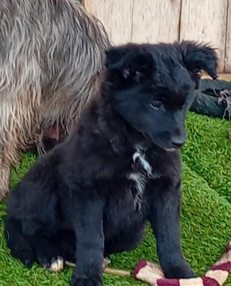 multimedia-foto87832-229-1