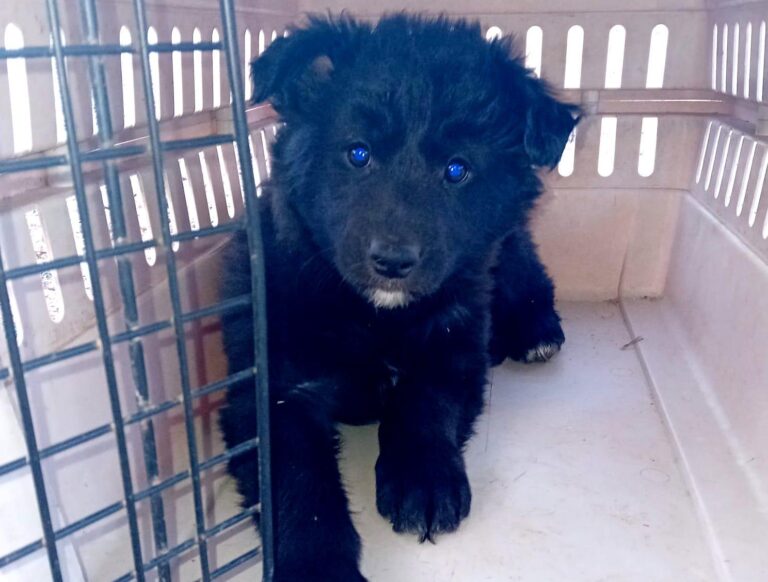 multimedia-foto87834-229-1