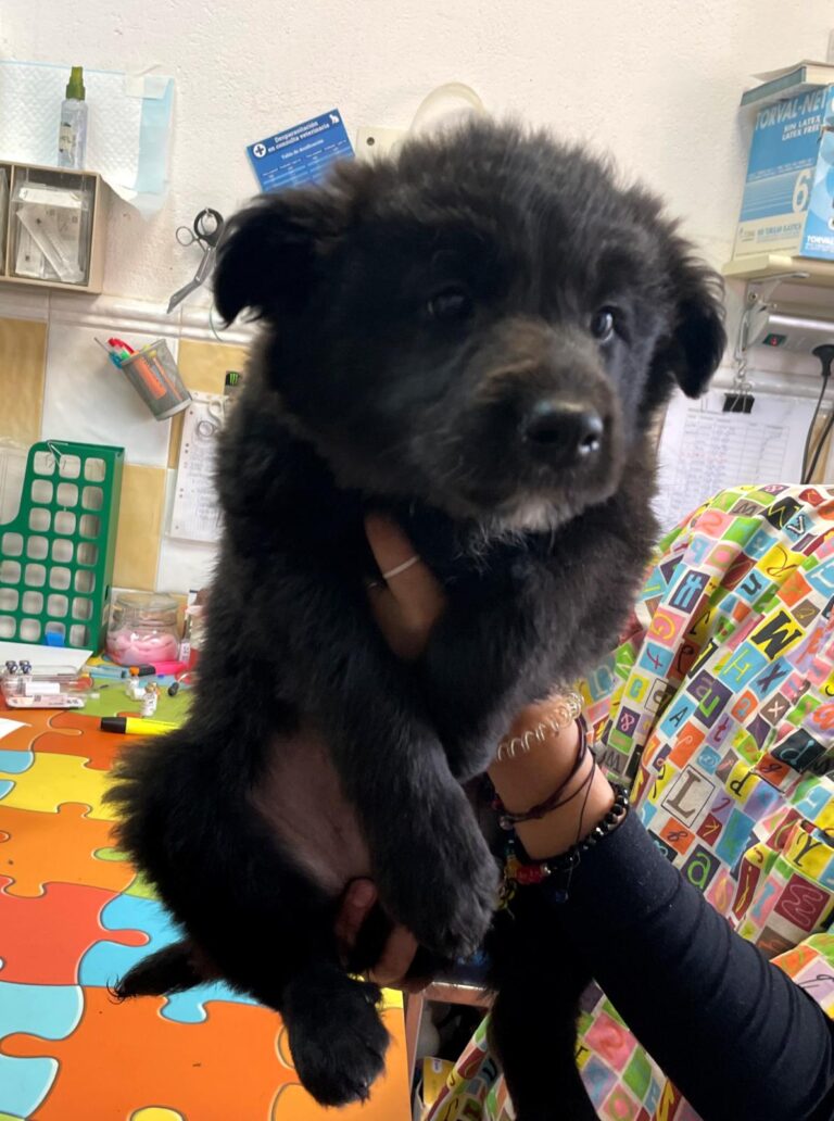 multimedia-foto87835-230-1