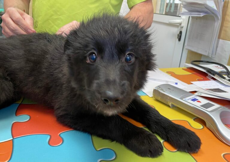 multimedia-foto87837-230-1