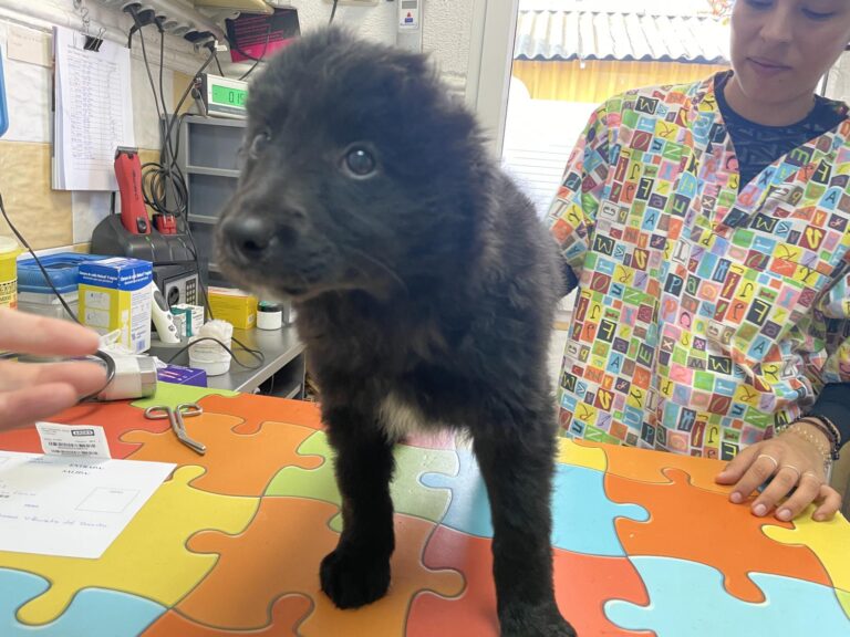 multimedia-foto87838-230-1