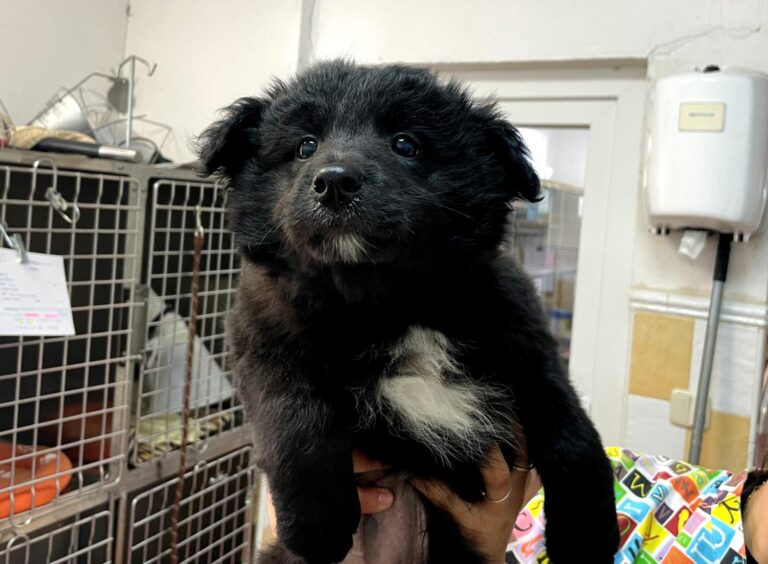 multimedia-foto87839-231-1