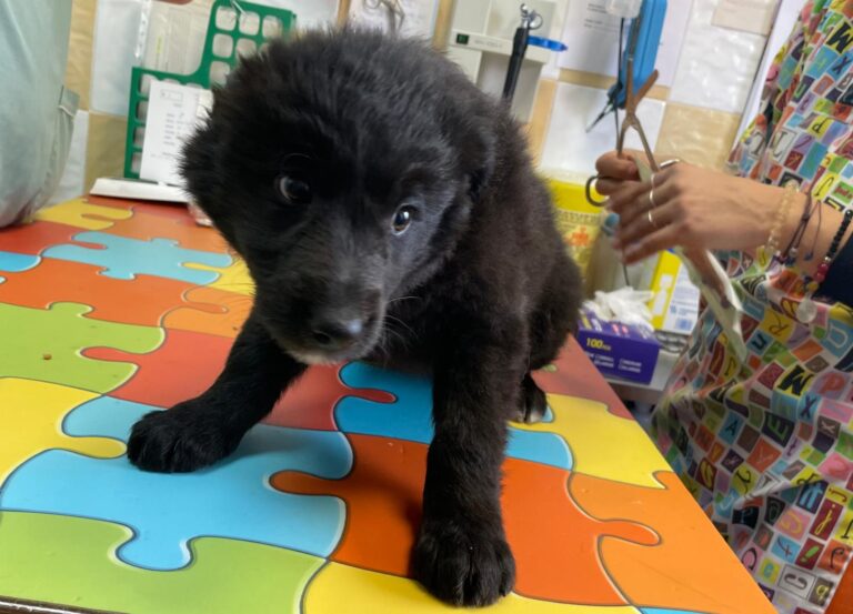 multimedia-foto87840-231-1