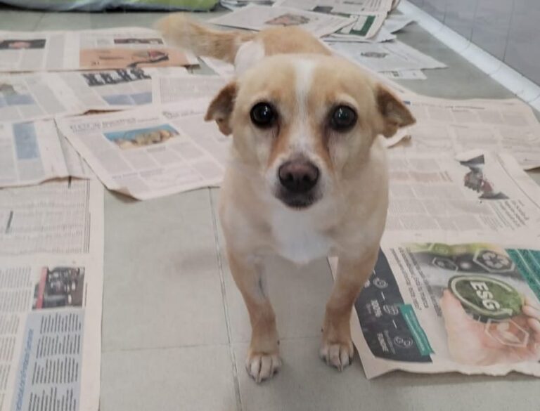 multimedia-foto87845-581-1